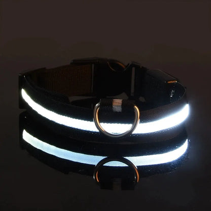 LED Glow Dog Collar & Leash Set – Nylon Luminous Reflective Safety Flashing Night Light for Pets